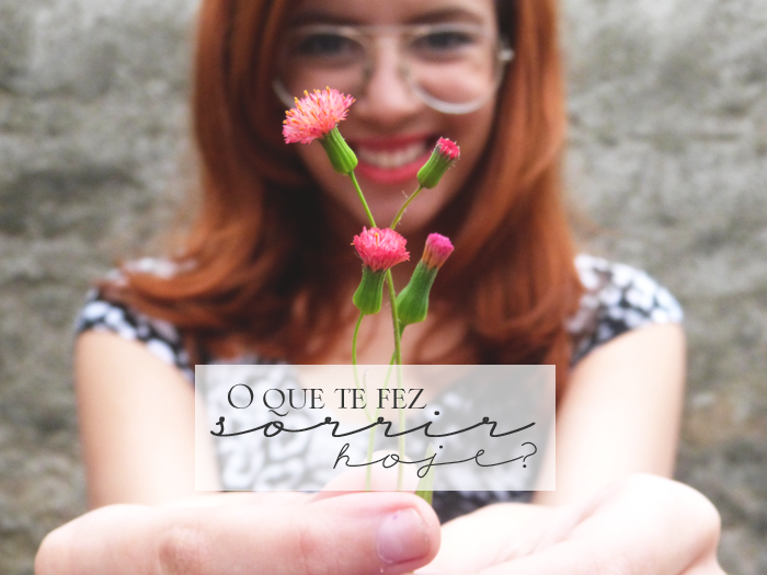 foto-wlfb1