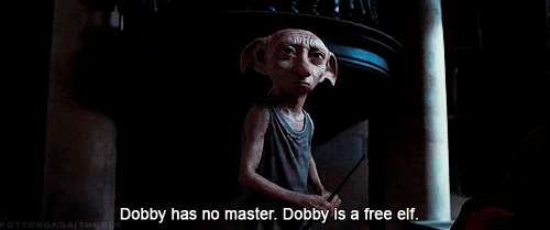10 pensamentos formado após faculdade - Dobby
